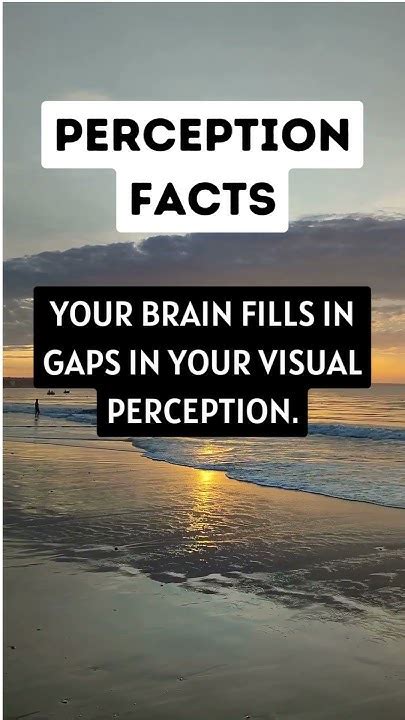 your brain fills in fake visual information from this area